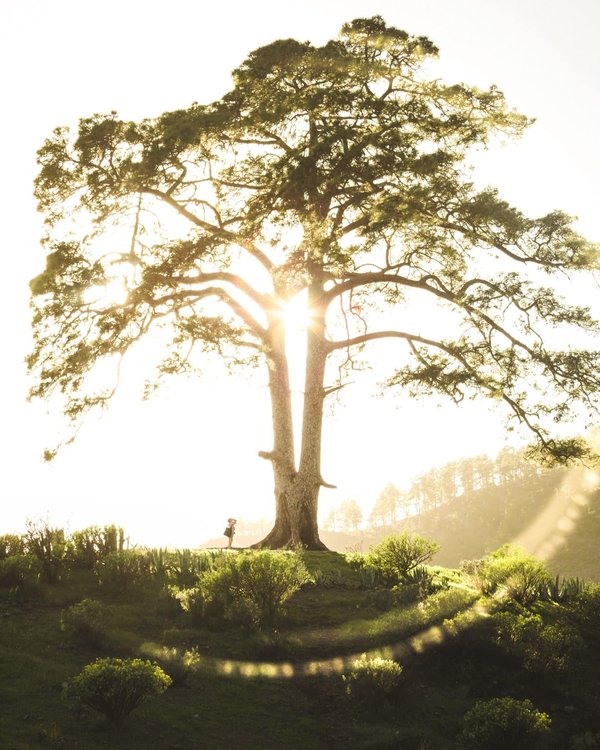 Hommage à une icône française : Le col Bardot